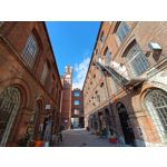 Zdjęcia użytkowników Redmi Note 12 Pro+