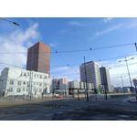 Zdjęcia użytkowników Redmi Note 12 Pro+