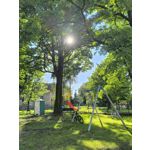 Zdjęcia użytkowników Redmi Note 13 Pro+