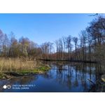 Zdjęcia użytkowników Redmi Note 7