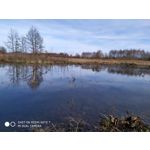 Zdjęcia użytkowników Redmi Note 7