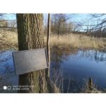 Zdjęcia użytkowników Redmi Note 7
