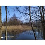 Zdjęcia użytkowników Redmi Note 7