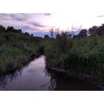 Zdjęcia użytkowników Redmi Note 7