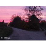 Zdjęcia użytkowników Redmi Note 8T