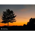 Zdjęcia użytkowników Redmi Note 8T