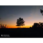 Zdjęcia użytkowników Redmi Note 8T