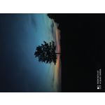 Zdjęcia użytkowników Redmi Note 8T