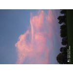 Zdjęcia użytkowników Redmi Note 8T