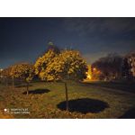 Zdjęcia użytkowników Redmi Note 8T