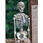 Zdjęcia użytkowników Redmi Note 8T