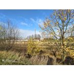 Zdjęcia użytkowników Redmi Note 8T