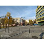 Zdjęcia użytkowników Redmi Note 8T