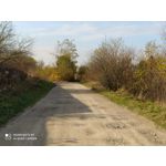 Zdjęcia użytkowników Redmi Note 8T