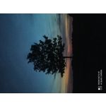 Zdjęcia użytkowników Redmi Note 8T