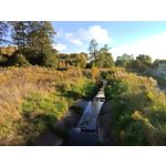 Zdjęcia użytkowników Redmi Pad