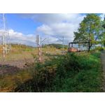 Zdjęcia użytkowników Redmi Pad