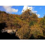 Zdjęcia użytkowników Redmi Pad