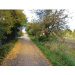 Zdjęcia użytkowników Redmi Pad