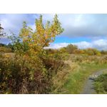 Zdjęcia użytkowników Redmi Pad