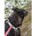 ZDJĘCIA Z TEGO TELEFONU