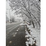 ZDJĘCIA Z TEGO TELEFONU