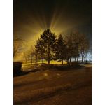 ZDJĘCIA Z TEGO TELEFONU