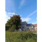 ZDJĘCIA Z TEGO TELEFONU