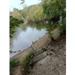 Zdjęcia użytkowników Redmi Note 14 4G Global