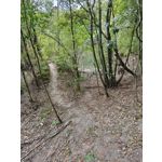 Zdjęcia użytkowników Redmi Note 14 4G Global