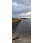 ZDJĘCIA Z TEGO TELEFONU