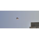 Zdjęcia użytkowników Redmi Note 14 Pro+ 5G