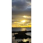 ZDJĘCIA Z TEGO TELEFONU