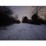 ZDJĘCIA Z TEGO TELEFONU