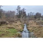 Zdjęcia użytkowników Redmi Note 15 Pro+ 5G