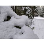 Zdjęcia użytkowników Redmi Note 15 Pro+ 5G