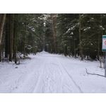 Zdjęcia użytkowników Redmi Note 15 Pro+ 5G