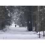 Zdjęcia użytkowników Redmi Note 15 Pro+ 5G