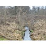 Zdjęcia użytkowników Redmi Note 15 Pro+ 5G