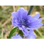 Zdjęcia użytkowników Redmi Note 17 Pro 5G