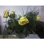 Zdjęcia użytkowników Sagem my501X