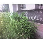 Zdjęcia użytkowników Sagem my501X