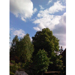 Zdjęcia użytkowników Sagem my511X