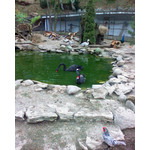 Zdjęcia użytkowników Sagem my511X