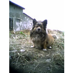 ZDJĘCIA Z TEGO TELEFONU