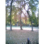 ZDJĘCIA Z TEGO TELEFONU