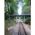 ZDJĘCIA Z TEGO TELEFONU