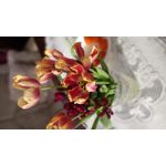 Zdjęcia użytkowników Samsung Galaxy A12 Zdjęcia użytkowników Samsung Galaxy A12