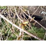 Zdjęcia użytkowników Samsung Galaxy A12 Zdjęcia użytkowników Samsung Galaxy A12