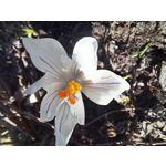 Zdjęcia użytkowników Samsung Galaxy A12 Zdjęcia użytkowników Samsung Galaxy A12